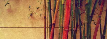 Vintage Bamboo Facebook Covers